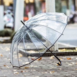 튼튼한 고급 자동우산 투명 비닐 장우산 골프우산