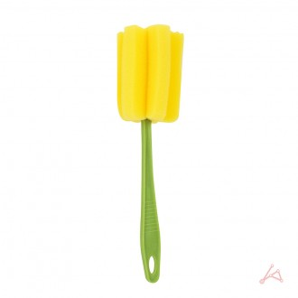 ǰ̹