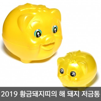 ǰ̹
