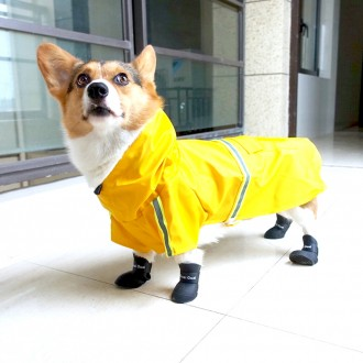 »óǰÀ̹ÌÁö »óǰÀ̹ÌÁö