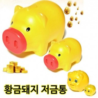 ǰ̹