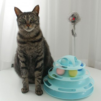 고급형 뚜또가또 고양이 4단 트랙 타워 볼 장난감