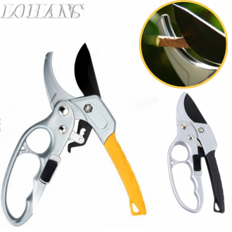 »óǰÀ̹ÌÁö »óǰÀ̹ÌÁö