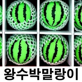 ǰ̹