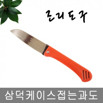 ǰ̹