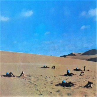 »óǰÀ̹ÌÁö »óǰÀ̹ÌÁö