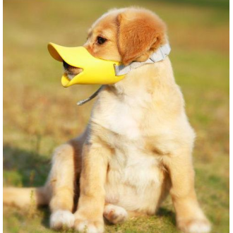 »óǰÀ̹ÌÁö »óǰÀ̹ÌÁö