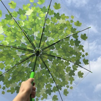 장우산 투명 벚꽃 단풍 긴 손잡이 카모마일 투명 베이킹 페인트 크리에이티브 파라벤트