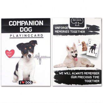 반려견카드(Companion dog playing card) 귀여운 강아지카드 마술카드 유기견보호 캠페인