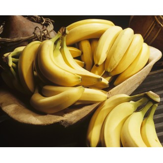 [한가득팜] 직수입 치키타바나나 고당도 바나나 열대과일