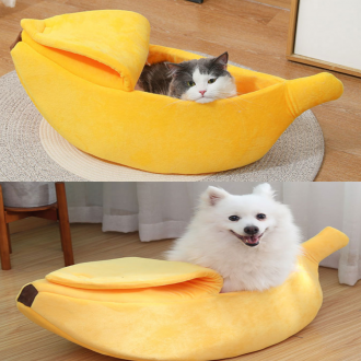 ǰ̹