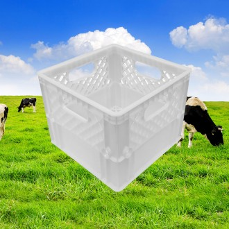 ǰ̹
