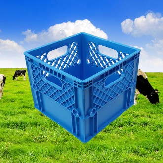 ǰ̹