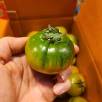 대저 토마토 로얄과 정품 2.5kg 5kg
