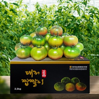[한가득팜] GAP인증 산지직송 부산 대저토마토 짭짤이 토마토