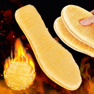 ǰ̹