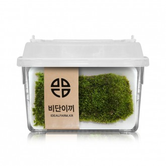 »óǰÀ̹ÌÁö »óǰÀ̹ÌÁö