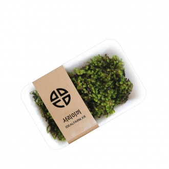 »óǰÀ̹ÌÁö »óǰÀ̹ÌÁö