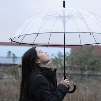 우산 투명우산 전자동우산 일자우산 커플우산