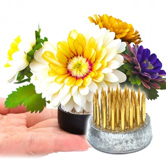 »óǰÀ̹ÌÁö »óǰÀ̹ÌÁö