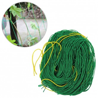 »óǰÀ̹ÌÁö »óǰÀ̹ÌÁö