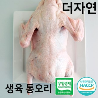 ǰ̹