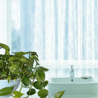 욕실 냄새물질제거 공기정화식물 4개세트
