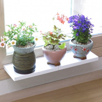 »óǰÀ̹ÌÁö »óǰÀ̹ÌÁö