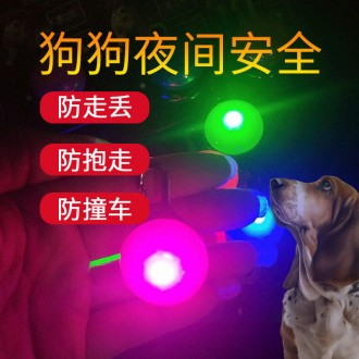 ǰ̹