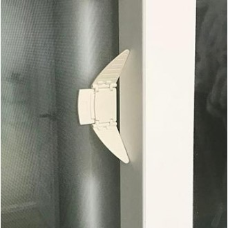 ǰ̹
