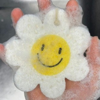 ǰ̹