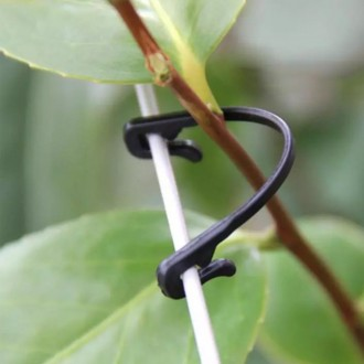 »óǰÀ̹ÌÁö »óǰÀ̹ÌÁö