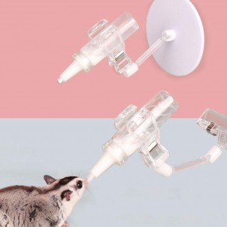 ǰ̹