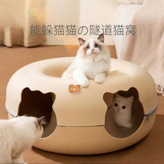 ǰ̹