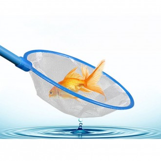 »óǰÀ̹ÌÁö »óǰÀ̹ÌÁö