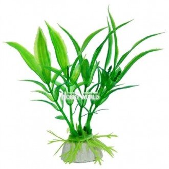 »óǰÀ̹ÌÁö »óǰÀ̹ÌÁö