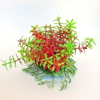 »óǰÀ̹ÌÁö »óǰÀ̹ÌÁö