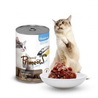 »óǰÀ̹ÌÁö »óǰÀ̹ÌÁö