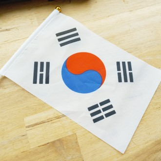 ǰ̹