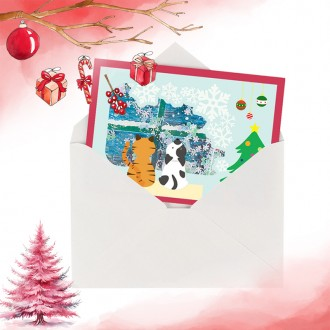 ��ǰ�̹���