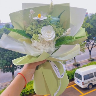 »óǰÀ̹ÌÁö »óǰÀ̹ÌÁö