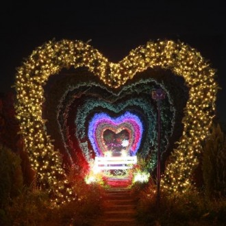 ��ǰ�̹���