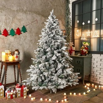 ��ǰ�̹���