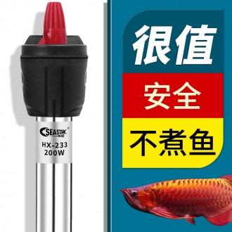 ǰ̹