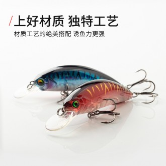 »óǰÀ̹ÌÁö »óǰÀ̹ÌÁö