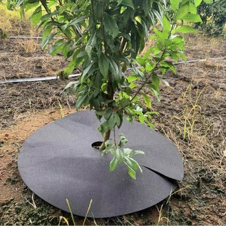 »óǰÀ̹ÌÁö »óǰÀ̹ÌÁö