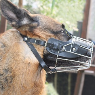 »óǰÀ̹ÌÁö »óǰÀ̹ÌÁö