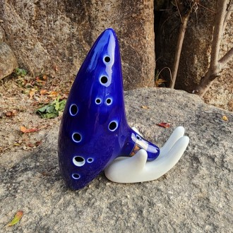 ǰ̹