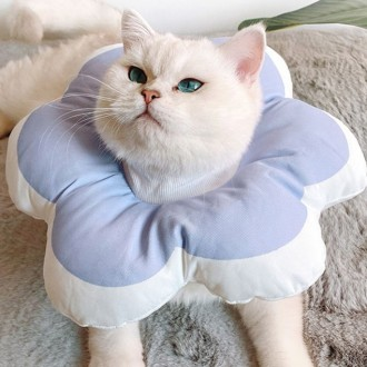 »óǰÀ̹ÌÁö »óǰÀ̹ÌÁö