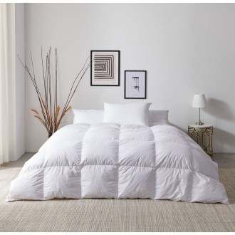 »óǰÀ̹ÌÁö »óǰÀ̹ÌÁö